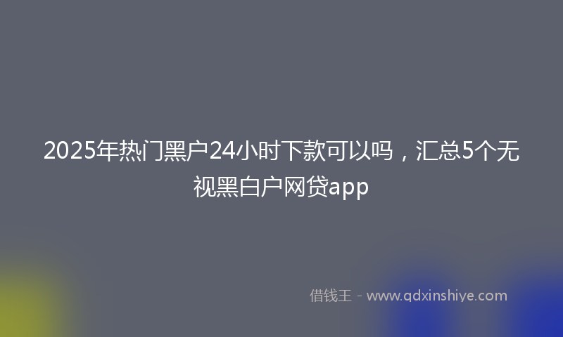 2025年热门黑户24小时下款可以吗，汇总5个无视黑白户网贷app