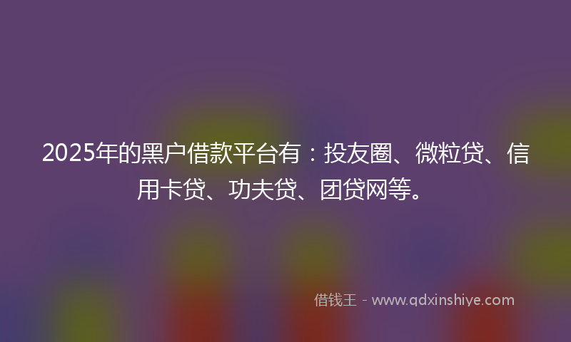 2025年的黑户借款平台有：投友圈、微粒贷、信用卡贷、功夫贷、团贷网等。