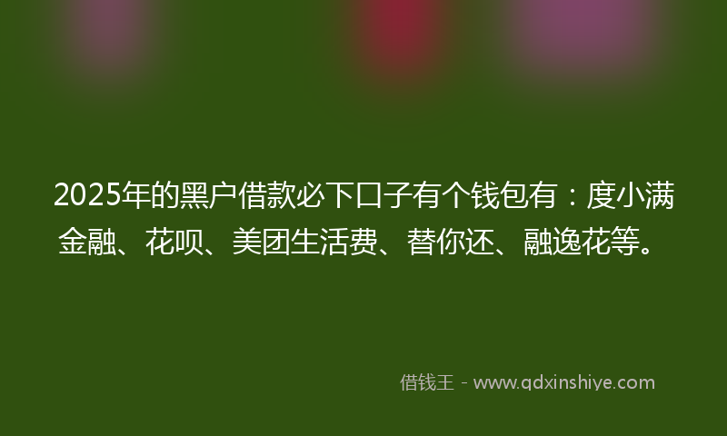 2025年的黑户借款必下口子有个钱包有：度小满金融、花呗、美团生活费、替你还、融逸花等。