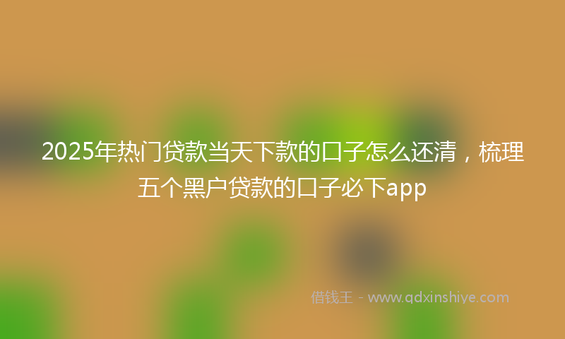 2025年热门贷款当天下款的口子怎么还清，梳理五个黑户贷款的口子必下app