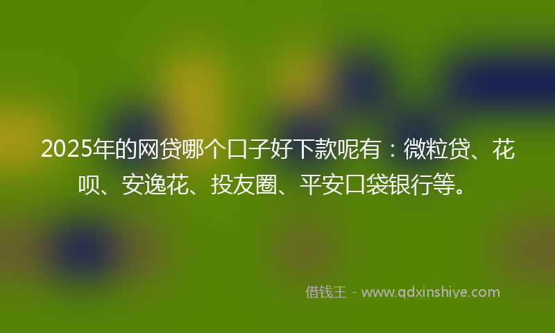 2025年的网贷哪个口子好下款呢有：微粒贷、花呗、安逸花、投友圈、平安口袋银行等。