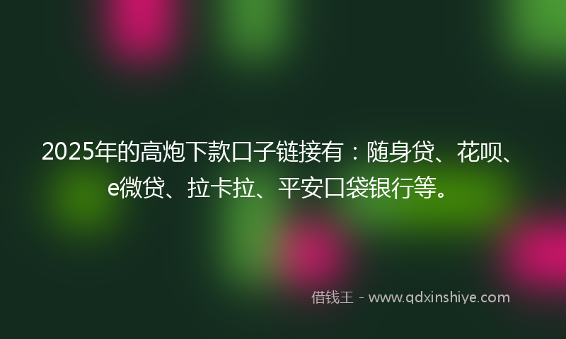 2025年的高炮下款口子链接有：随身贷、花呗、e微贷、拉卡拉、平安口袋银行等。