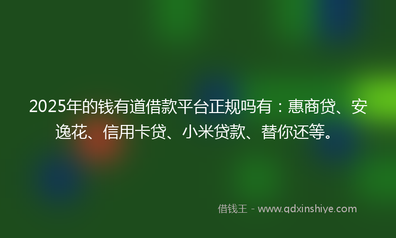 2025年的钱有道借款平台正规吗有：惠商贷、安逸花、信用卡贷、小米贷款、替你还等。