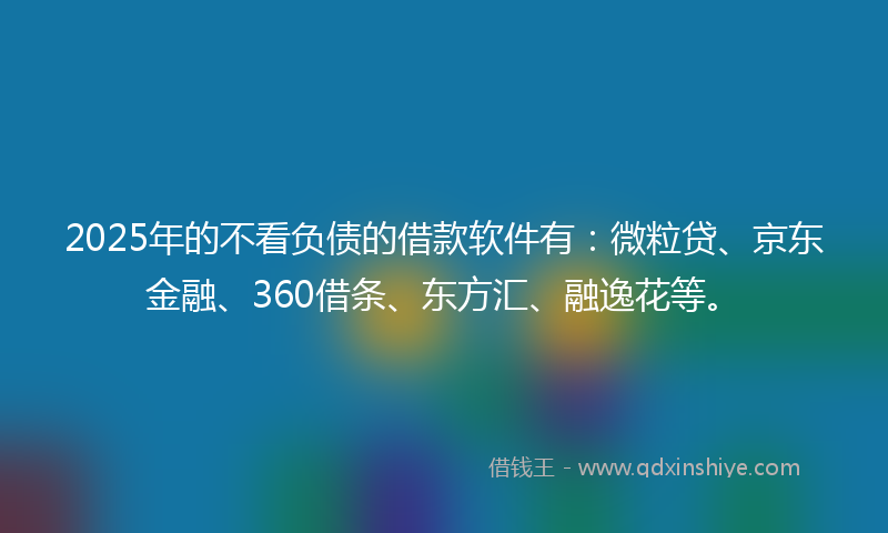 2025年的不看负债的借款软件有：微粒贷、京东金融、360借条、东方汇、融逸花等。