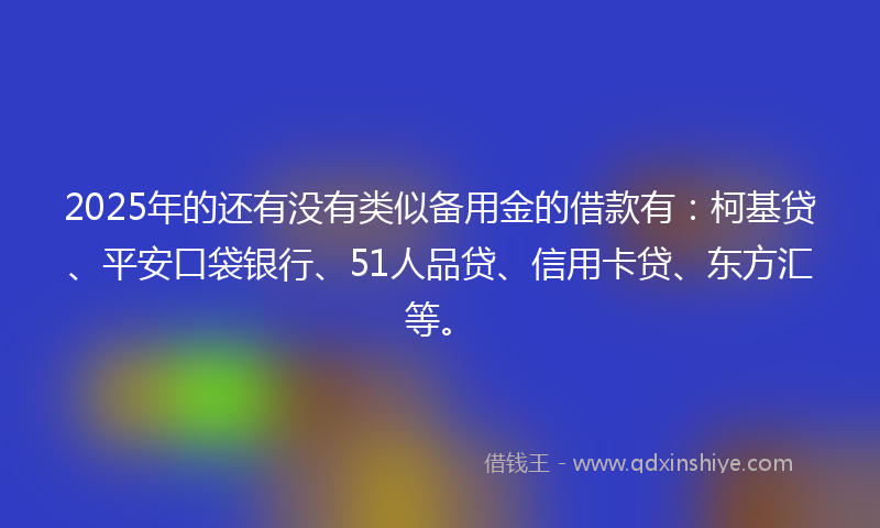 2025年的还有没有类似备用金的借款有：柯基贷、平安口袋银行、51人品贷、信用卡贷、东方汇等。