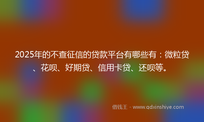 2025年的不查征信的贷款平台有哪些有：微粒贷、花呗、好期贷、信用卡贷、还呗等。