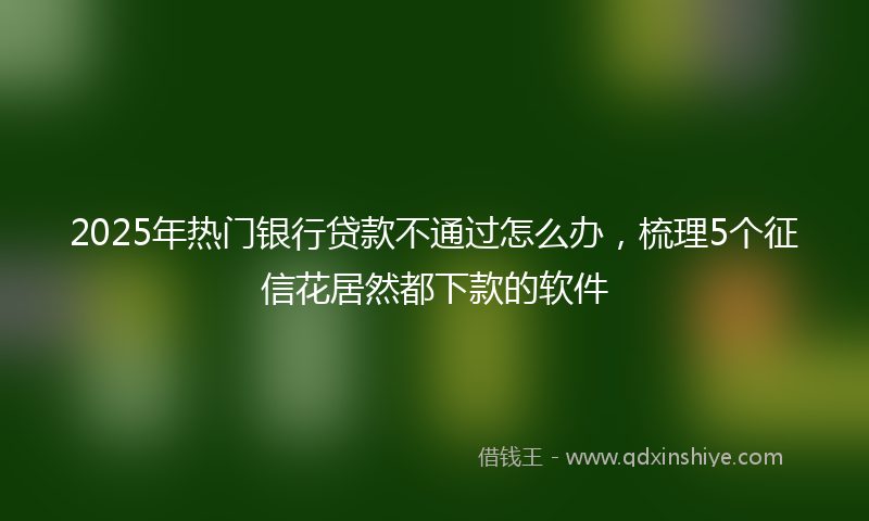 2025年热门银行贷款不通过怎么办，梳理5个征信花居然都下款的软件