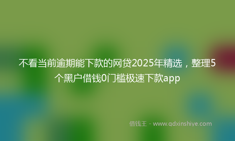 不看当前逾期能下款的网贷2025年精选，整理5个黑户借钱0门槛极速下款app