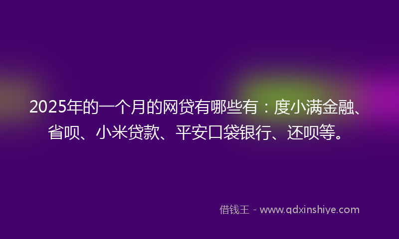2025年的一个月的网贷有哪些有：度小满金融、省呗、小米贷款、平安口袋银行、还呗等。