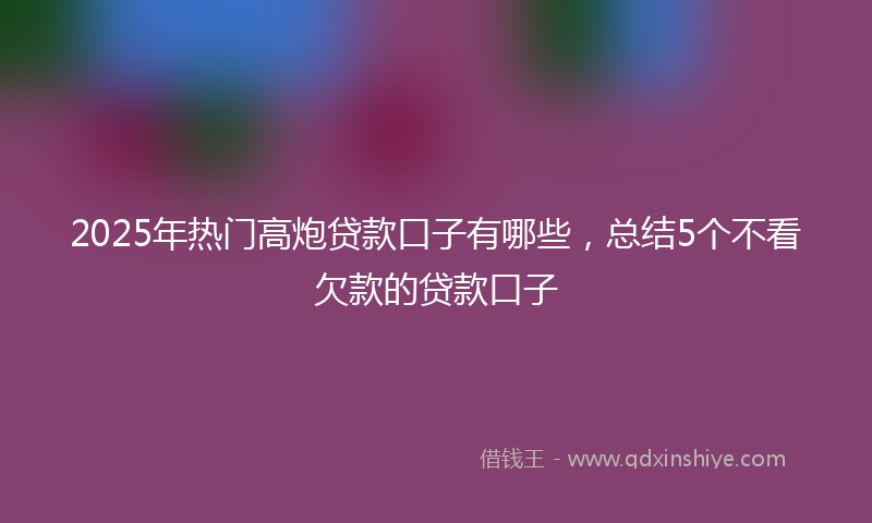 2025年热门高炮贷款口子有哪些,总结5个不看欠款的贷款口子