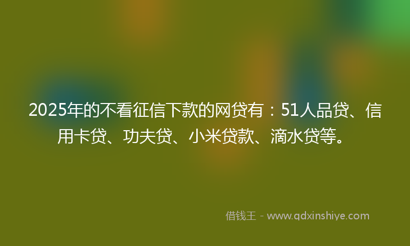 2025年的不看征信下款的网贷有：51人品贷、信用卡贷、功夫贷、小米贷款、滴水贷等。