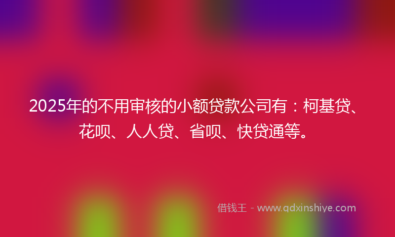 2025年的不用审核的小额贷款公司有：柯基贷、花呗、人人贷、省呗、快贷通等。