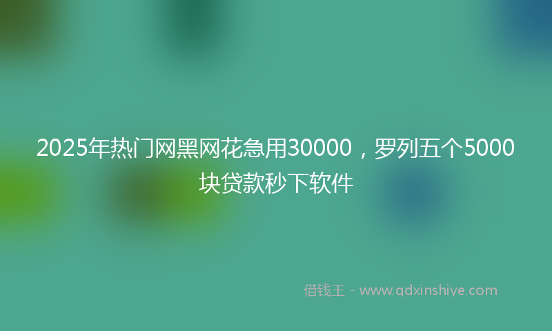 2025年热门网黑网花急用30000,罗列五个5000块贷款秒下软件