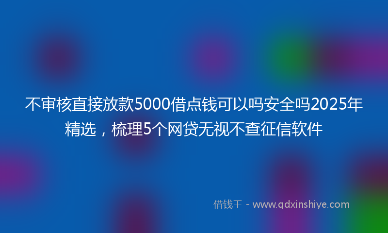不审核直接放款5000借点钱可以吗安全吗2025年精选，梳理5个网贷无视不查征信软件