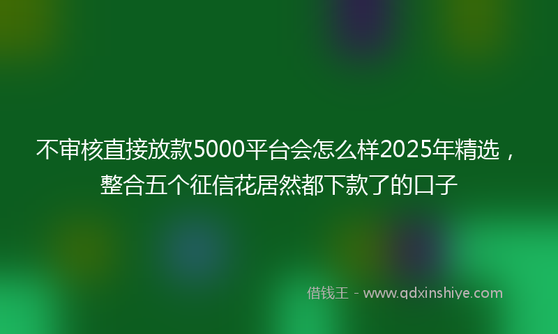 不审核直接放款5000平台会怎么样2025年精选，整合五个征信花居然都下款了的口子
