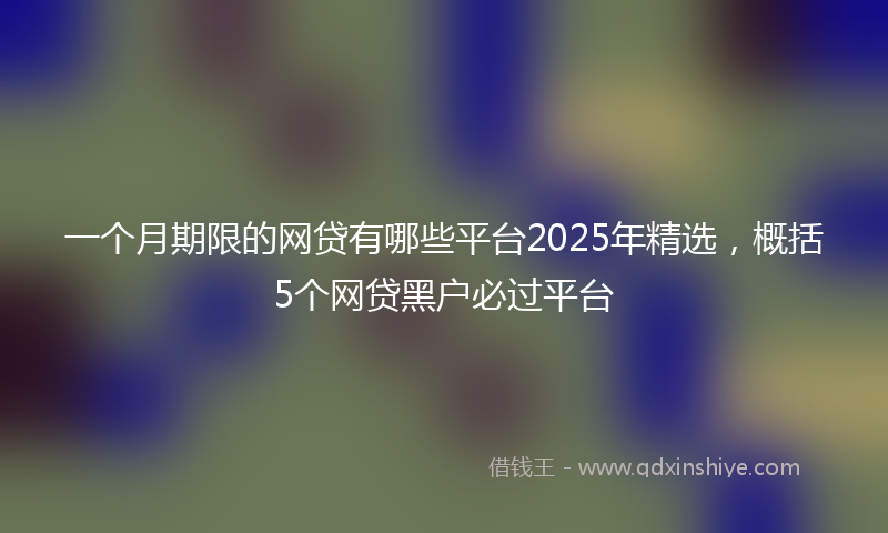 一个月期限的网贷有哪些平台2025年精选，概括5个网贷黑户必过平台