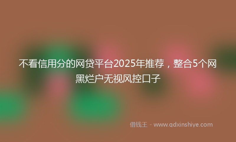 不看信用分的网贷平台2025年推荐，整合5个网黑烂户无视风控口子