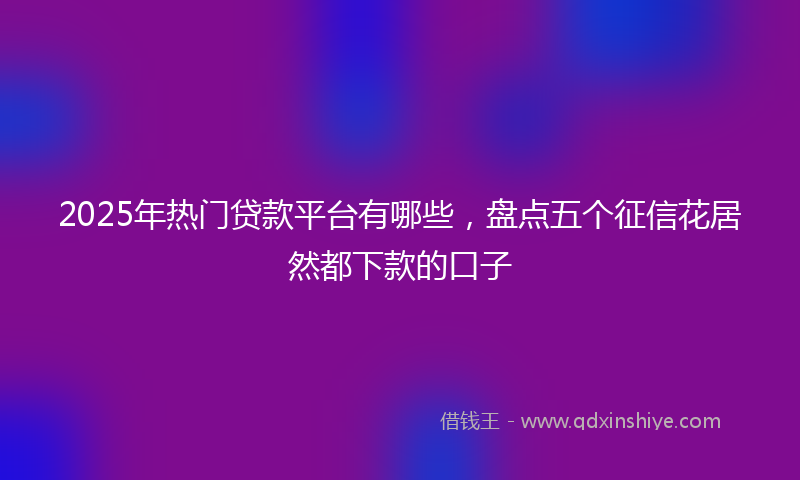 2025年热门贷款平台有哪些，盘点五个征信花居然都下款的口子