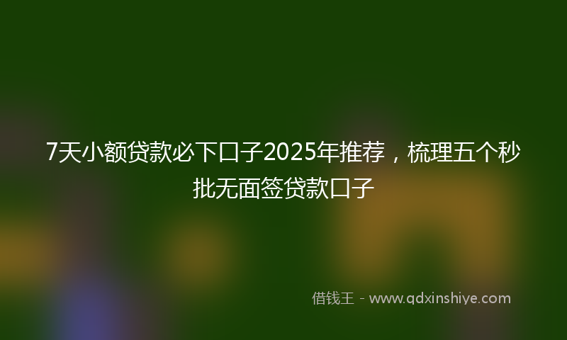 7天小额贷款必下口子2025年推荐，梳理五个秒批无面签贷款口子