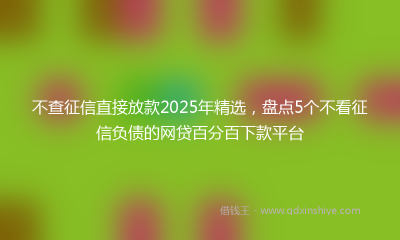 不查征信直接放款2025年精选，盘点5个不看征信负债的网贷百分百下款平台