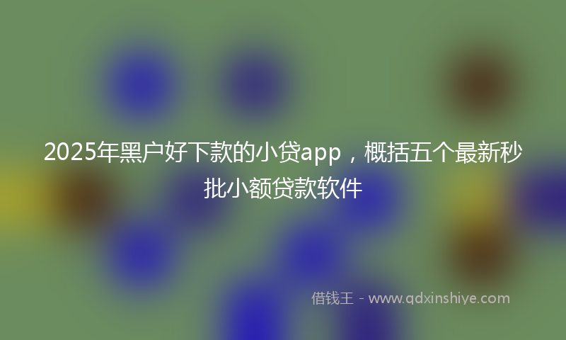 2025年黑户好下款的小贷app，概括五个最新秒批小额贷款软件