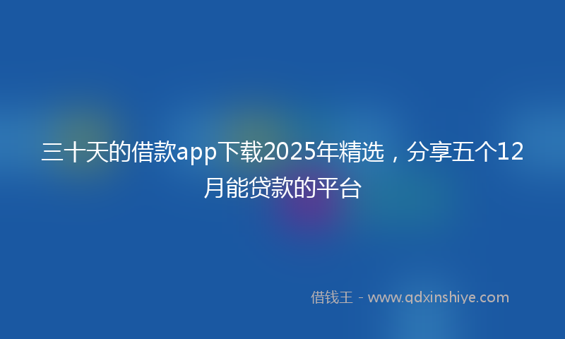 三十天的借款app下载2025年精选，分享五个12月能贷款的平台