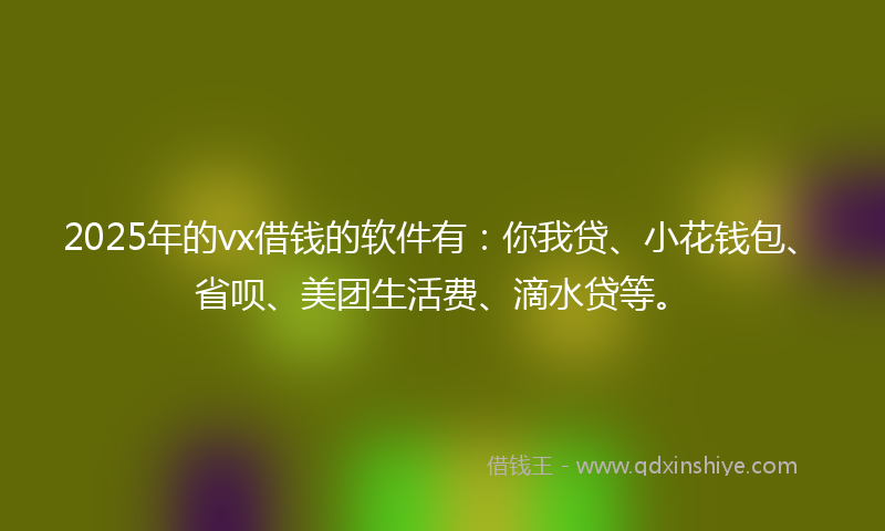 2025年的vx借钱的软件有：你我贷、小花钱包、省呗、美团生活费、滴水贷等。