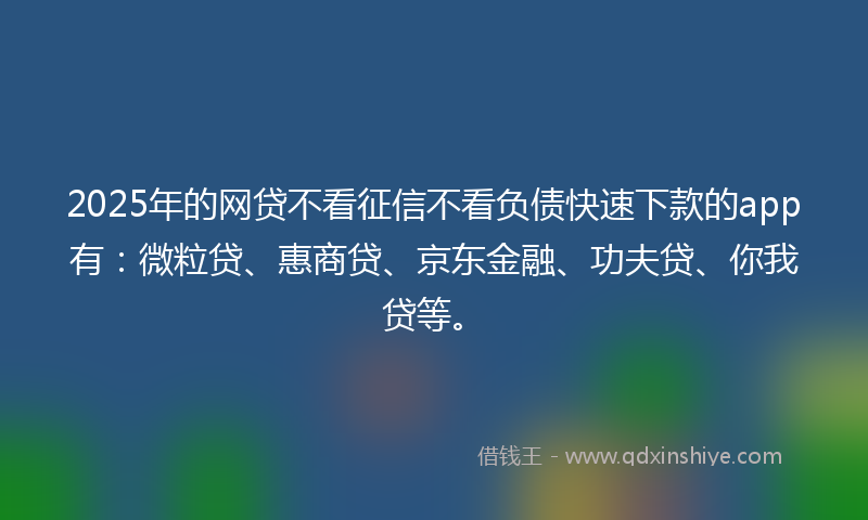 2025年的网贷不看征信不看负债快速下款的app有:微粒贷、惠商贷、京东金融、功夫贷、你我贷等。