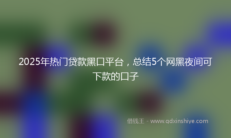 2025年热门贷款黑口平台，总结5个网黑夜间可下款的口子