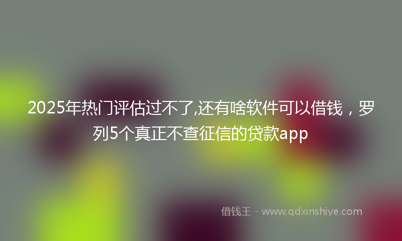 2025年热门评估过不了,还有啥软件可以借钱，罗列5个真正不查征信的贷款app