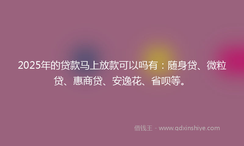 2025年的贷款马上放款可以吗有：随身贷、微粒贷、惠商贷、安逸花、省呗等。