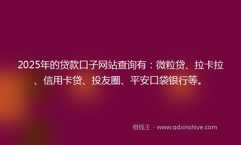 2025年的贷款口子网站查询有：微粒贷、拉卡拉、信用卡贷、投友圈、平安口袋银行等。