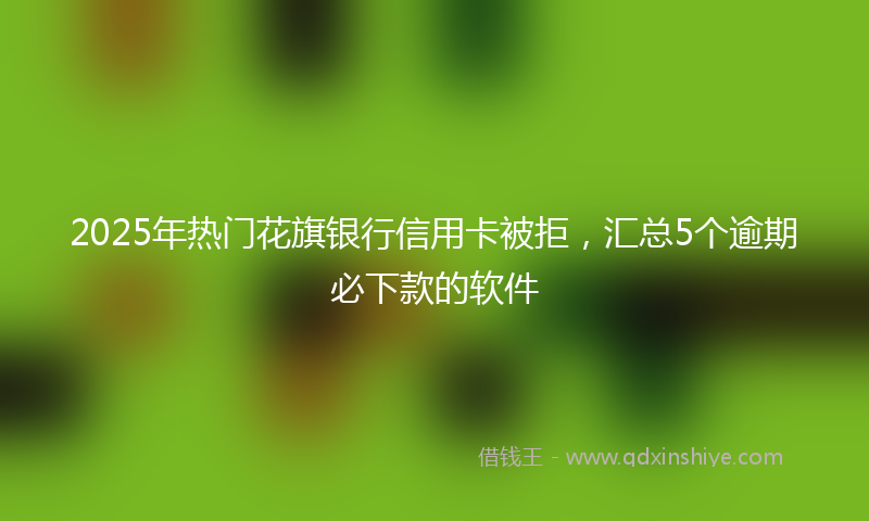 2025年热门花旗银行信用卡被拒,汇总5个逾期必下款的软件