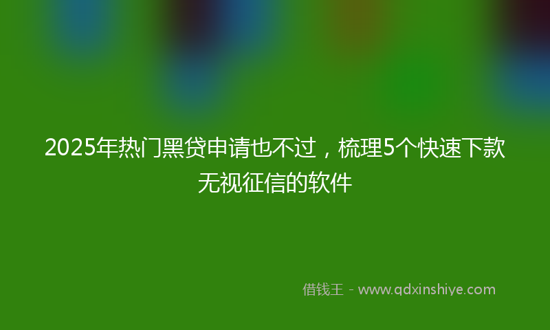 2025年热门黑贷申请也不过，梳理5个快速下款无视征信的软件