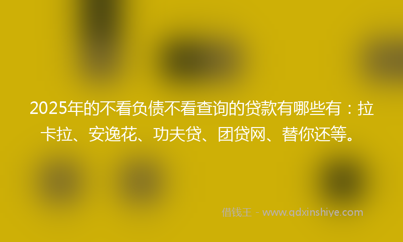 2025年的不看负债不看查询的贷款有哪些有：拉卡拉、安逸花、功夫贷、团贷网、替你还等。