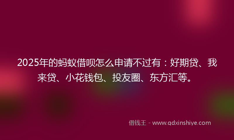 2025年的蚂蚁借呗怎么申请不过有：好期贷、我来贷、小花钱包、投友圈、东方汇等。