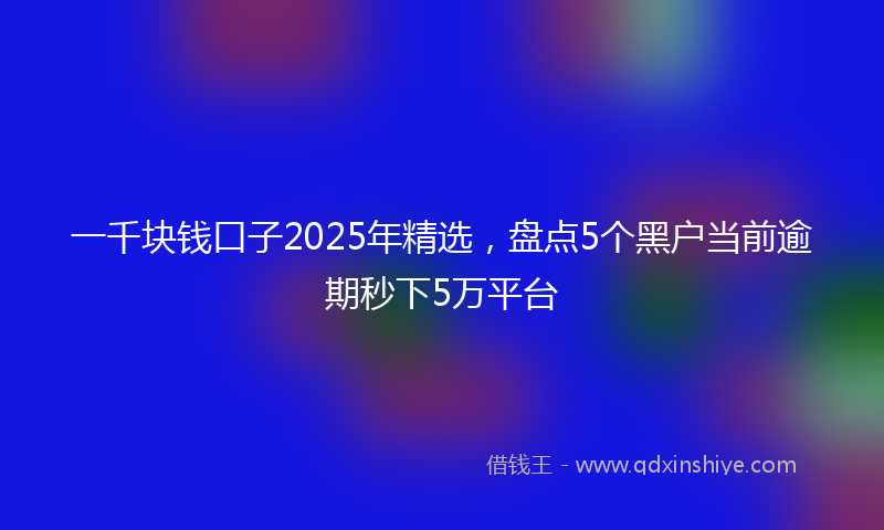 一千块钱口子2025年精选，盘点5个黑户当前逾期秒下5万平台