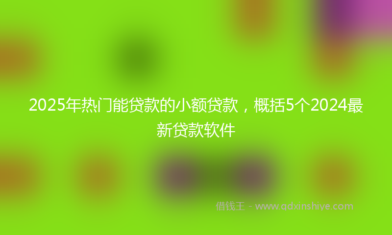 2025年热门能贷款的小额贷款,概括5个2024最新贷款软件