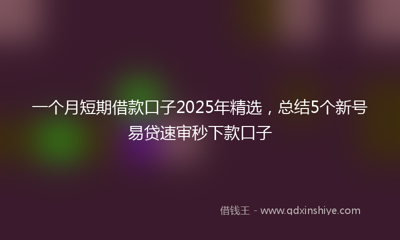 一个月短期借款口子2025年精选，总结5个新号易贷速审秒下款口子
