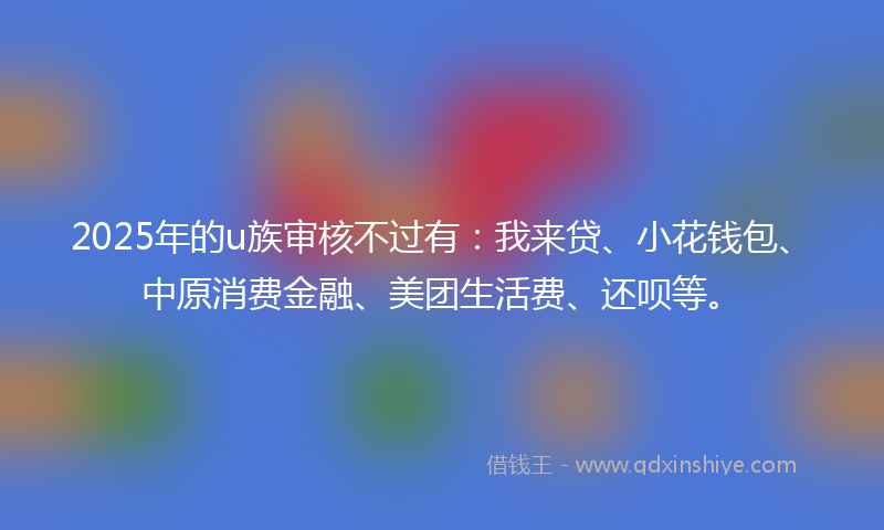2025年的u族审核不过有：我来贷、小花钱包、中原消费金融、美团生活费、还呗等。
