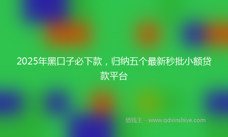 2025年黑口子必下款，归纳五个最新秒批小额贷款平台
