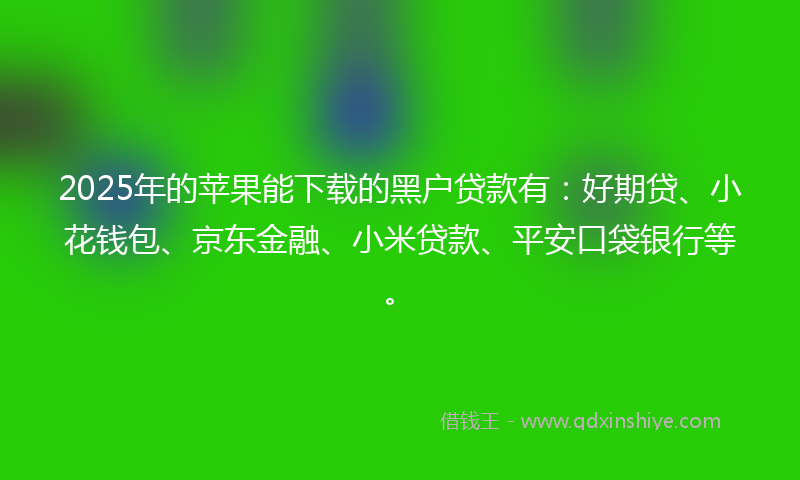 2025年的苹果能下载的黑户贷款有：好期贷、小花钱包、京东金融、小米贷款、平安口袋银行等。
