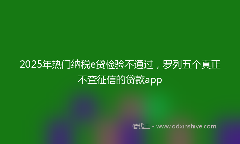 2025年热门纳税e贷检验不通过，罗列五个真正不查征信的贷款app