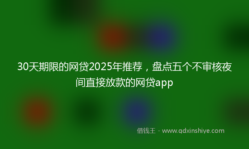 30天期限的网贷2025年推荐，盘点五个不审核夜间直接放款的网贷app