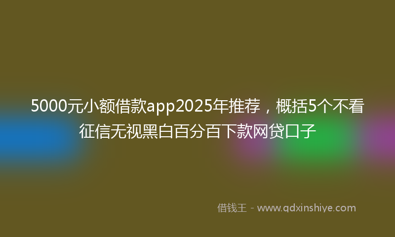 5000元小额借款app2025年推荐,概括5个不看征信无视黑白百分百下款网贷口子