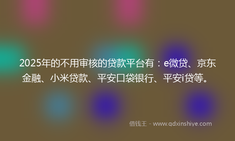 2025年的不用审核的贷款平台有：e微贷、京东金融、小米贷款、平安口袋银行、平安i贷等。
