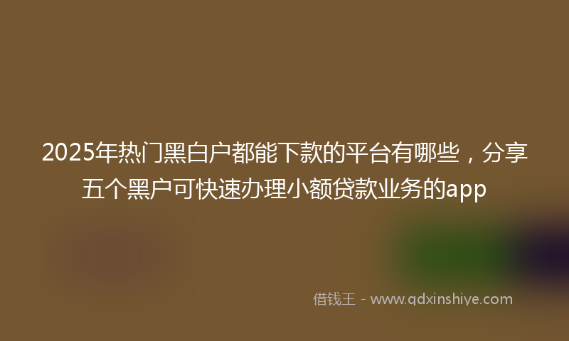 2025年热门黑白户都能下款的平台有哪些,分享五个黑户可快速办理小额贷款业务的app