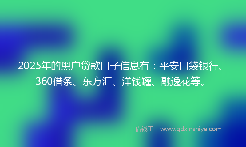 2025年的黑户贷款口子信息有：平安口袋银行、360借条、东方汇、洋钱罐、融逸花等。