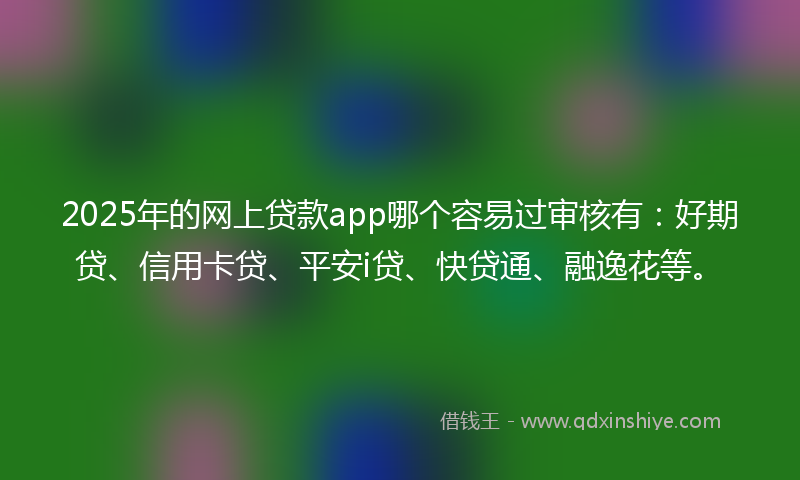 2025年的网上贷款app哪个容易过审核有：好期贷、信用卡贷、平安i贷、快贷通、融逸花等。