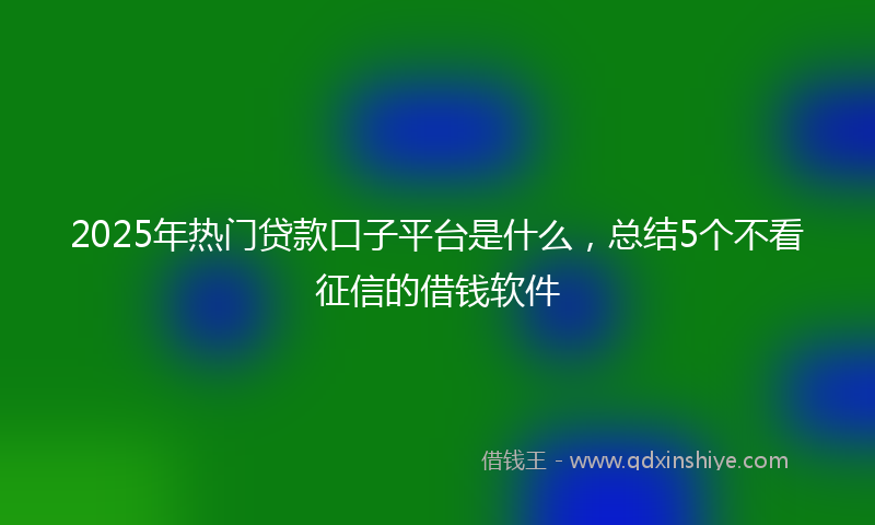 2025年热门贷款口子平台是什么，总结5个不看征信的借钱软件